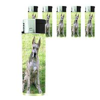 Dog Great Dane 05 Lighter Set of 5 Pieces