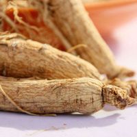 Organic White Ginseng Root or Ren Shen Herb | You Ji Bai Ren Shen Chinese Herb - Suitable for Qi or Yang Deficiencies - #1 Purity & Quality Medicinal Grade Chinese Herb 1 Oz