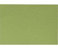 A2 Notecards (4 1/4 x 5 1/2) - Avocado (1000 Qty.)