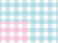 Baby Wrap - Baby Gingham Gift Wrap 24"x417' Gift Wrap Half Ream (Reversible) (1 roll) - Wraps -E5977H24