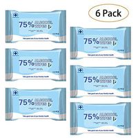 Wet Wipes (6 Pack, 60 Pcs), Large Hand Wipes