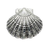 Wild Things Sterling Silver Scallop Shell Pill Box
