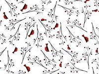 Pack Of 1, 40" X 100' 1.0 Mil Cardinal Christmas Print Cello Rolls Made In USA