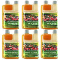 Synflex-Synflex America Liquid Glucosamine; 6 Pack (6)