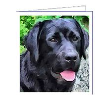 Black Labrador Retriever - Rizzo - Set of 6 with Envelopes by Doggylips