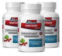 antioxidant All in one - Hawthorn Berry Extract 665MG - Hawthorn one Daily - 3 Bottles (360 Capsules)