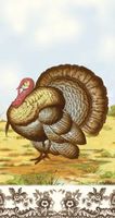 Spode Woodland Turkey Thanksgiving Disposable Table Napkins and Guest Towels, 4.75'' W x 8'' L, 16pcs