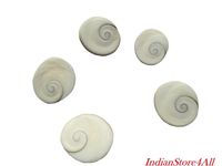 IndianStore4All Gomati Chakra For Peace And Prosperity,Gomti 5 Pcs Set 20-22 mm Approx
