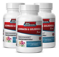 antioxidant Anti Aging - Echinacea & Goldenseal Root 300MG - goldenseal Bulk - 3 Bottles (300 Capsules)
