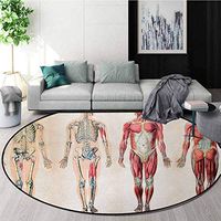 Human Anatomy Area Silky Smooth Rugs,Vintage Chart of Body Front Back Skeleton and Muscle System Bone Mass Graphic Home Decor Area Rug Round-55 Inch,Ruby Cream