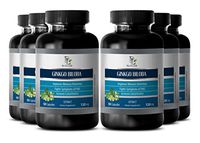 Pancreas Supplement - Ginkgo BILOBA Leaf Extract 120MG - Ginkgo biloba Herbal Plus - 6 Bottle 300 Capsules