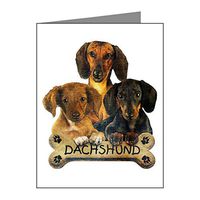 Note Card Dachshund Trio with Bone Name Plate