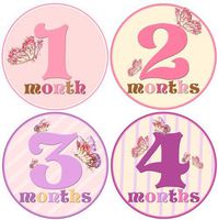 Baby Girl Monthly Milestone Stickers 1-12 Months Newborn Girl Butterfly Bodysuit Stickers by Mumsy Goose