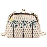 Fashionhe Weaving Bag Women Beach Bag Shoulder Bag Wild Chain Messenger Bag Handbag Cosmetic Bag(Beige-A)