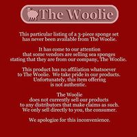 3pc Natural Wool Sea Sponge Set - Luxurious, Traditional & most popular