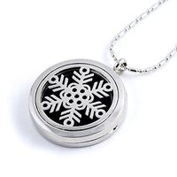 Paw Paw House Aromatherapy Essential Oil Diffuser Necklace Floating Charm Locket Pendant Stainless Steel (5103-1)