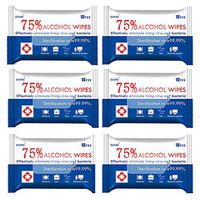 Large Wet Wipes, Detergent Wipes Wet Wipes All-Purpose for Cleaning Travel (6 Packs, 60 Wipes)