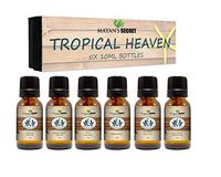 Premium Grade Fragrance Oil -Tropical Heaven- Gift Set 6/10ml Ocean Breeze, Honeydew Melon, Pina Colada, Pineapple, Island Mango, Coconut Cream Pie