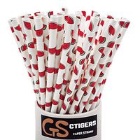CTIGERS Cute Watermelon Patterns Paper Straws Summer Fruit Style Biodegradable Drinking Straws Box of 100