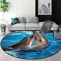 RUGSMAT Dolphin Super Soft Circle Rugs for Girls,Aqua Show Photography Circle Rugs for Living Room Diameter-35