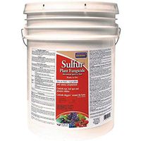 Dust Sulfur Bucket 25lb
