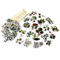 DIY Notebook Laptop Stickers Pack, Vsco Girl Kids Washi Sticker for Laptop Notebook Scrapbook Diary Album Luggage Water Bottle Stationery Scrapbooking Stamping Stickers, Pack of 60pc