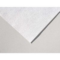 Coventry Econowipes Cellulose/Polyester Economy Series 4 x 4" 1200 per Bag