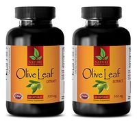 Antioxidant Booster - Natural Olive Leaf Extract 500MG - Olive Leaf xtract - 2 Bottle (120 Capsules)