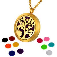 HOUSWEETY Aromatherapy Essential Oil Diffuser Necklace-Stainless Steel Locket Pendant,11 Refill Pads (Non-Engraving)