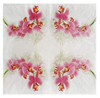Salome Idea 60 Counts Shower Tea Party Birthday or Wedding Party Napkins,Romatic Floral Napkins(Romatic Floral 13)