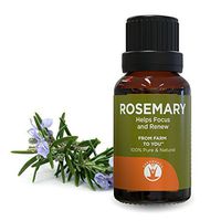 GuruNanda Rosemary Essential Oil - Aromatherapy - GCMS Tested & Verified 100% Pure Essential Oils - Undiluted - Therapeutic Grade -  15 ml