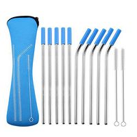 Stainless Steel Straws Set of 10 Reusable Drinking Straws with Travel Case Cleaning Brush Silicone Tips Eco Friendly Extra Long Metal Straws - STSET0003