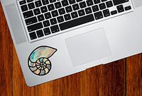 Yadda-Yadda Design Co. Nautilus Seashell - Stained Glass Style Vinyl Trackpad Tablet Decal - Copyright 2016 (Size and Color Choices) (Small 2.5" w x 2" h)(Blue)