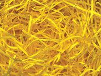 12oz Yellow VERYFINE Fine Cut Gift Basket Shred Paper Grass Filler Bedding