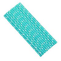 Biodegradable Reusable Paper Drinking Straws (Premium Quality), Stripe Drinking Large Straw | Perfect for Juices, Shakes, Smoothies, Party Supplies, Arts Crafts Pack of 100