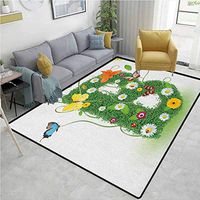 Letter B Paisley Area Rug Non Slip, Uppercase B Sign with Flourishing Daisies Exotic Garden Plants Butterflies Fresh, Durable Rugs - Living, Dinning, Office, Rooms & Bedrrom, Hallway Carpet(2.5'x 7')