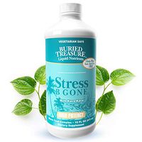 Buried Treasure Stress B Gone with Kava Kava Root, B Vitamins and Vitamin C for Stress Relief and Immune Support Natural Relaxation Tropical Flavors 16 oz