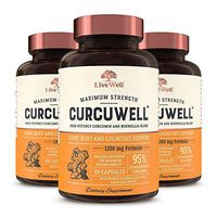 CurcuWell - Maximum Strength Joint, Body and Cognitive Support | High-Potency Curcumin and Boswellia Blend - 90 Day Supply