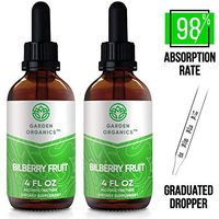Garden Organics - Bilberry Fruit Alcohol Extract, Organic Bilberry (Vaccinium Myrtillus) Dried Fruit (2x4 Fl Oz)