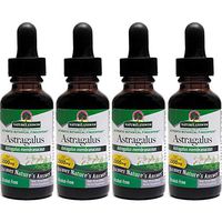 Nature's Answer Astragalus Root, 1 Ounces each (Value Pack of 4)