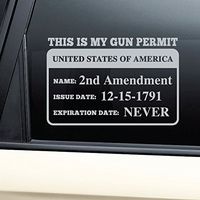 Nashville Decals 2nd Amendment Gun Permit Vinyl Decal Laptop Car Truck Bumper Window Sticker - Gray