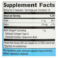 Nature's Way Hydraplenish Hyaluronic Acid - 30 Capsules