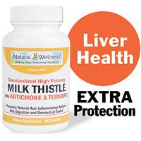 Natural Wellness Milk Thistle with Artichoke & Turmeric - 30 Day Supply