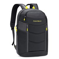 ASPENSPORT Lightweight Laptop Backpack TSA-Friendly Slim Stylish Travel College School Computer Bag fit 17 Inch Notebook Water Repellent for Men & Women Dark Grey/Yellow