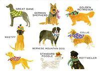 Tall Dogs Boxed Notecards Set of 8 Cards