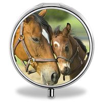 IMLONE Pill Organizer, Customized Brown Horse Pill Boxes with 3 Components for Purse