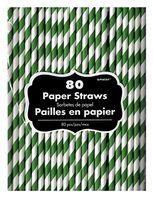 Striped Paper Straws 80 Count (Kiwi)