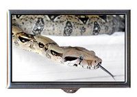 Snake Reptile Creepy Color Photograph Decorative Pill Box