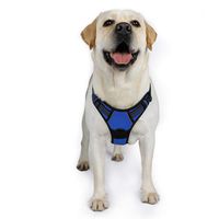 rabbitgoo No Pull Dog Harness Pet Vest Harness with Handle Adjustable Dog Padded Harness Reflective Mesh Lightweight Dog Harness for Outdoor Training Walking (Blue, XL)