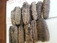 ERLIN (4lb) 100% Sun Dried Sea Cucumber Badionotus (mix size)